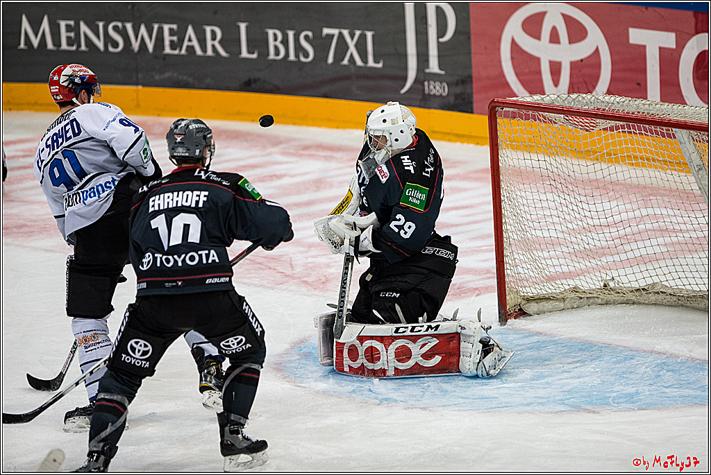 Koelner Haie - Schwenninger Wild Wings, 11.12.2016